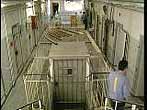 Bautzen: Gefängnistrakt/Innenansicht Bautzen: Gefängnistrakt/Innenansicht